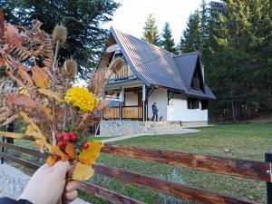 Vila Dunja Zlatar