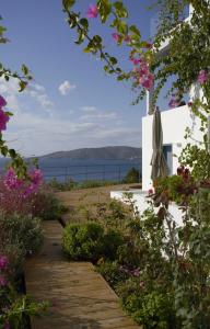 Blue Frames Summer House Andros Greece