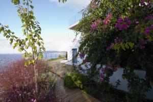 Blue Frames Summer House Andros Greece