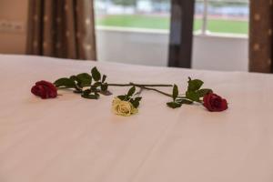 Dr Vasi Holidays House