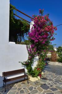 Galissas Studios Syros Greece