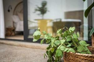 Jable suites apartamentos de lujo en el centro