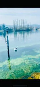 See Apart 3 - 埃申茨