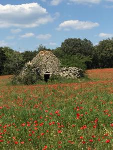 Maisons de vacances B&B gite d'Ayran : photos des chambres