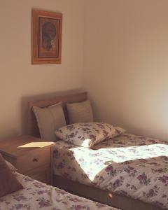 Amanet House Zasavica