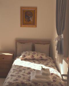 Amanet House Zasavica