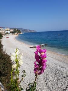 Blue Sky Apartments & Rooms Arkadia Greece