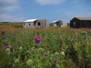 Lodges Les Refuges de Mer : Chambre Quadruple