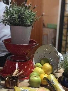 Weltevreden Country Guest Lodge