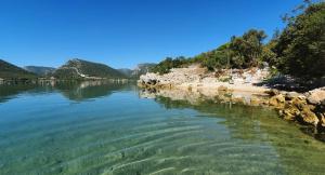 Villa Paradise Garden 