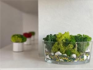 "Pearl 17" Sea View Elite Apartments in Historical Centre of Odessa