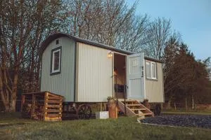 Shabby Shepherds - Glassonby