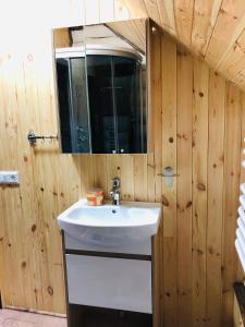 У ВІТИ котедж4