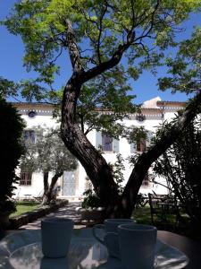 Hotels Hotel Chateau De Palaja : photos des chambres