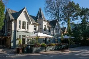 The Pavilion Arms - Winton