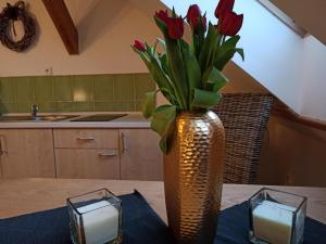 Apartmány Žiaková - ubytování Nové Hrady 111