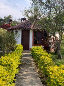 Hotel Campestre la Loma curiti