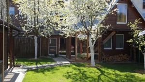 Namelis prie Magnolijos