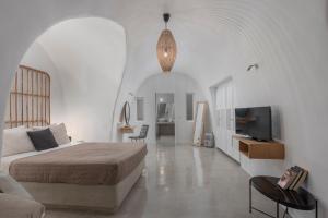 Exclusive Plan Suites Santorini Greece