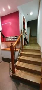 Apartamento NATURA Céntrico, ascensor, cocina, WI