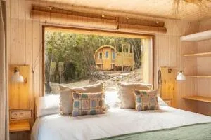 El Pino Centenario 3 - Las Llanadas