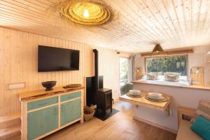 El Pino Centenario 3