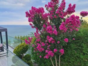 Villa Tatalia, Bozhurets