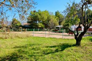 La Sella KN by CARLOSFERIEN