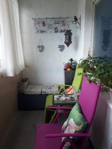 Tulips - Room for travelers, close to the Airport, transport possible