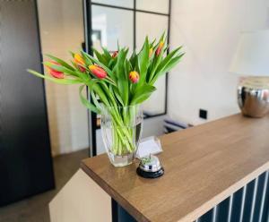 Hotel Astra Tajemniczy Ogród