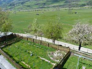 Apartments Teglbauernhof, Hütte, Chalet, Mobilheim, Appartement, Ferienwohnung, Pension, Urlaub