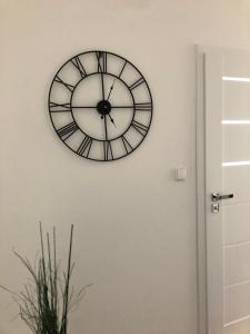 Apartament Aleksandra we Wielu z widokiem na jezioro