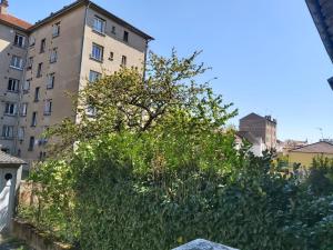 Appartements Lady Constantine/plan d'eau : photos des chambres