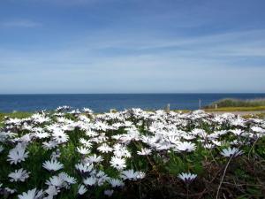 Apartment Limette 2 by Interhome img19