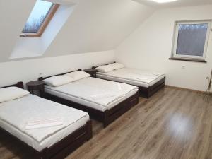 Apgyvendinimas Rusnėje, šalia Pakalnės upė 100m