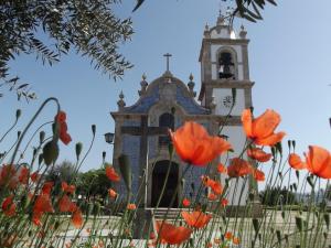 Douro - A Casinha da Ana