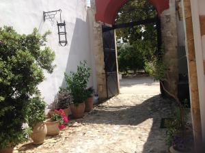 Oasis Guesthouse Chania Greece