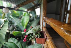 FRANKFURTER HOF FAMILIAR Oxapampa