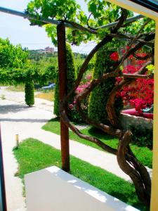 Koulouris Apartments & Studios