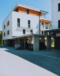 Fűzliget Ezüstnyár