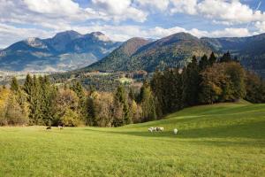 Ferienwohnungen Gerstreitlehen