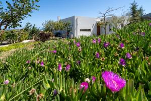 Sea View Villas Heraklio Greece