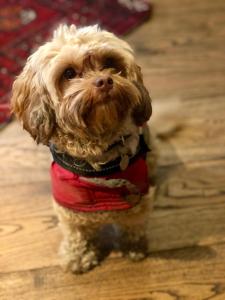 The Wheatsheaf at Beetham