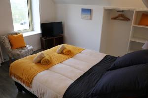 B&B / Chambres d'hotes TREAS GLAZ : photos des chambres