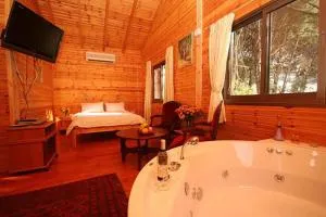 埃米瑞姆氛围山林小屋 - 埃米瑞姆