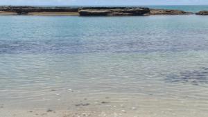 Apart Hotel Tamandaré