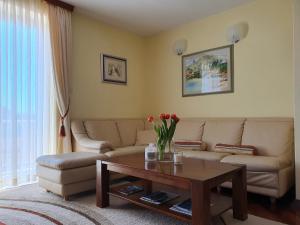 APARTMENT ANA-1 MINUTE TO THE OLD CITY