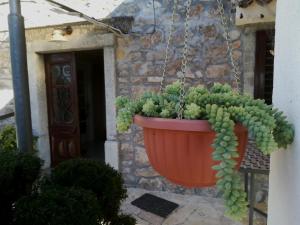House Pelcic Kostrena