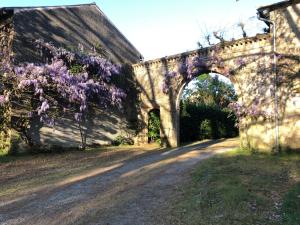 B&B / Chambres d'hotes Chateau de la Mothe : photos des chambres