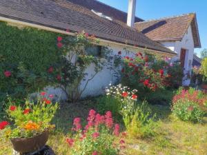 Maisons d'hotes Les sureaux du cher : photos des chambres